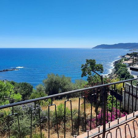 Apartamento Deluxe Cau Del Llop Llança Exterior foto